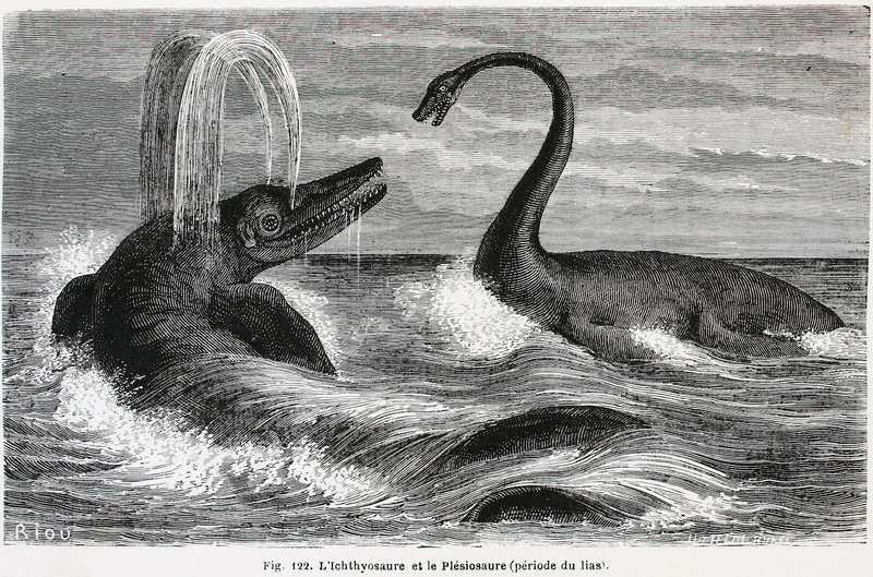 Illustration for article titled Strange 19th Century Drawings of Dinosaurs and Other Extinct Animals